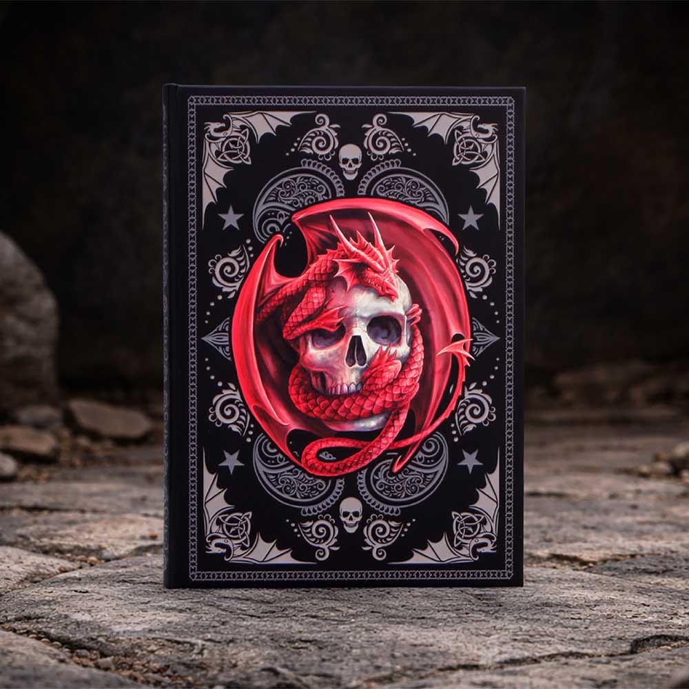 Skull Embrace Journal (AS) 17cm