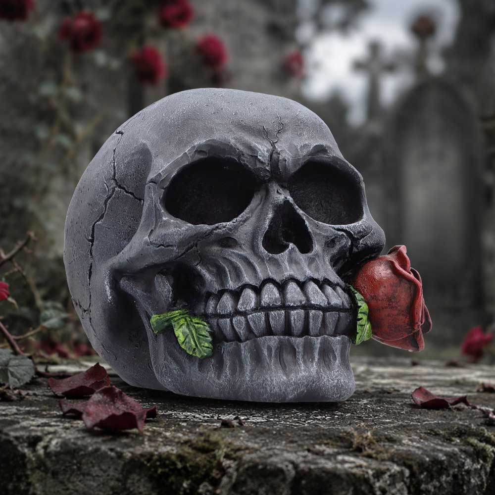 The Last Rose (Pack of 2) 8.7cm