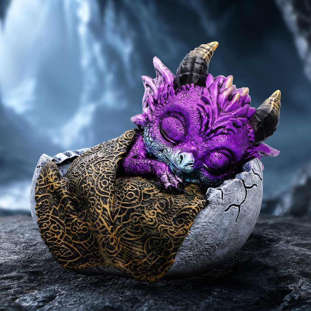 Shellbound Slumber 9.5cm