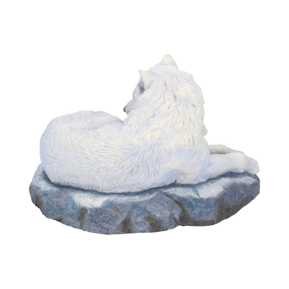 Guardian Of The North (LP) 19.5cm