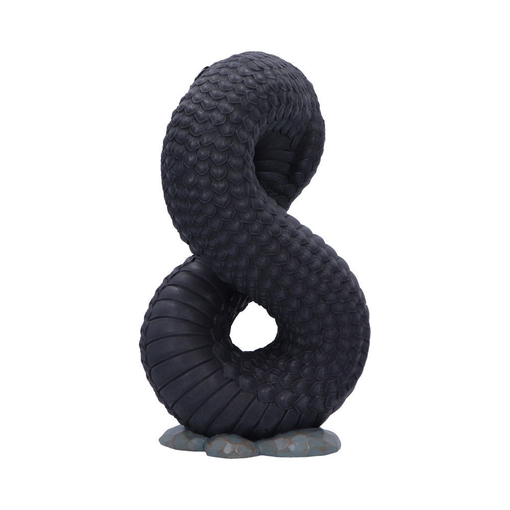 Ouroboros (Large)