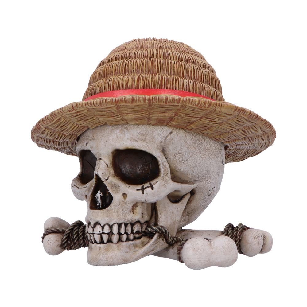 One Piece Luffy Jolly Roger Box