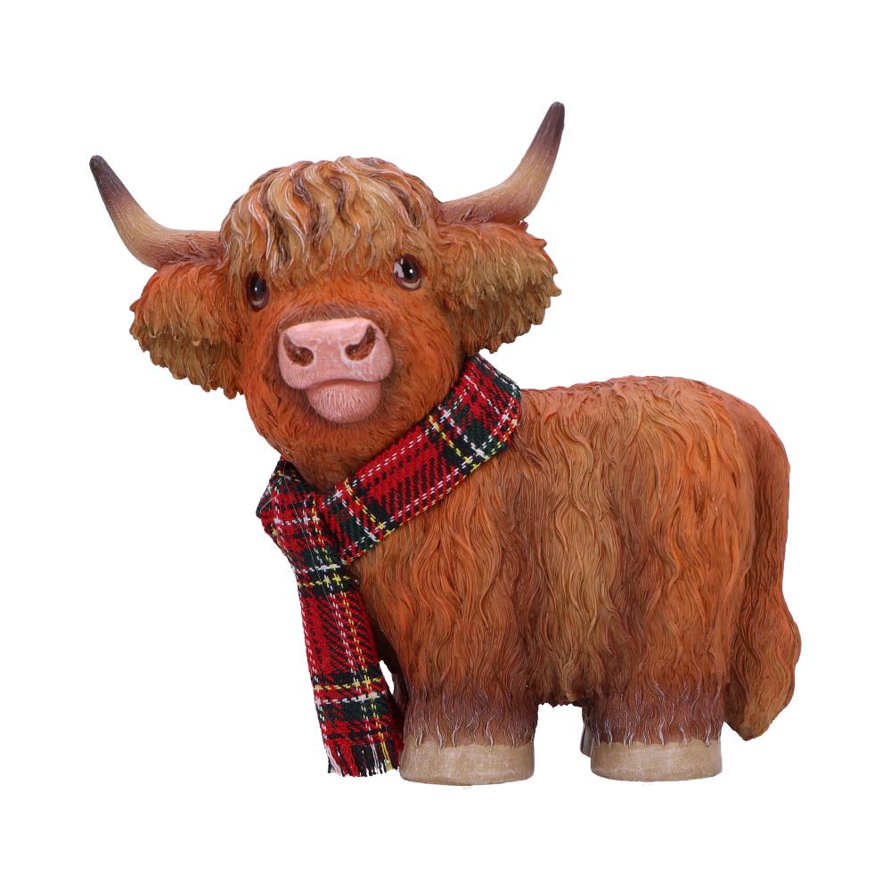 Highland Snug