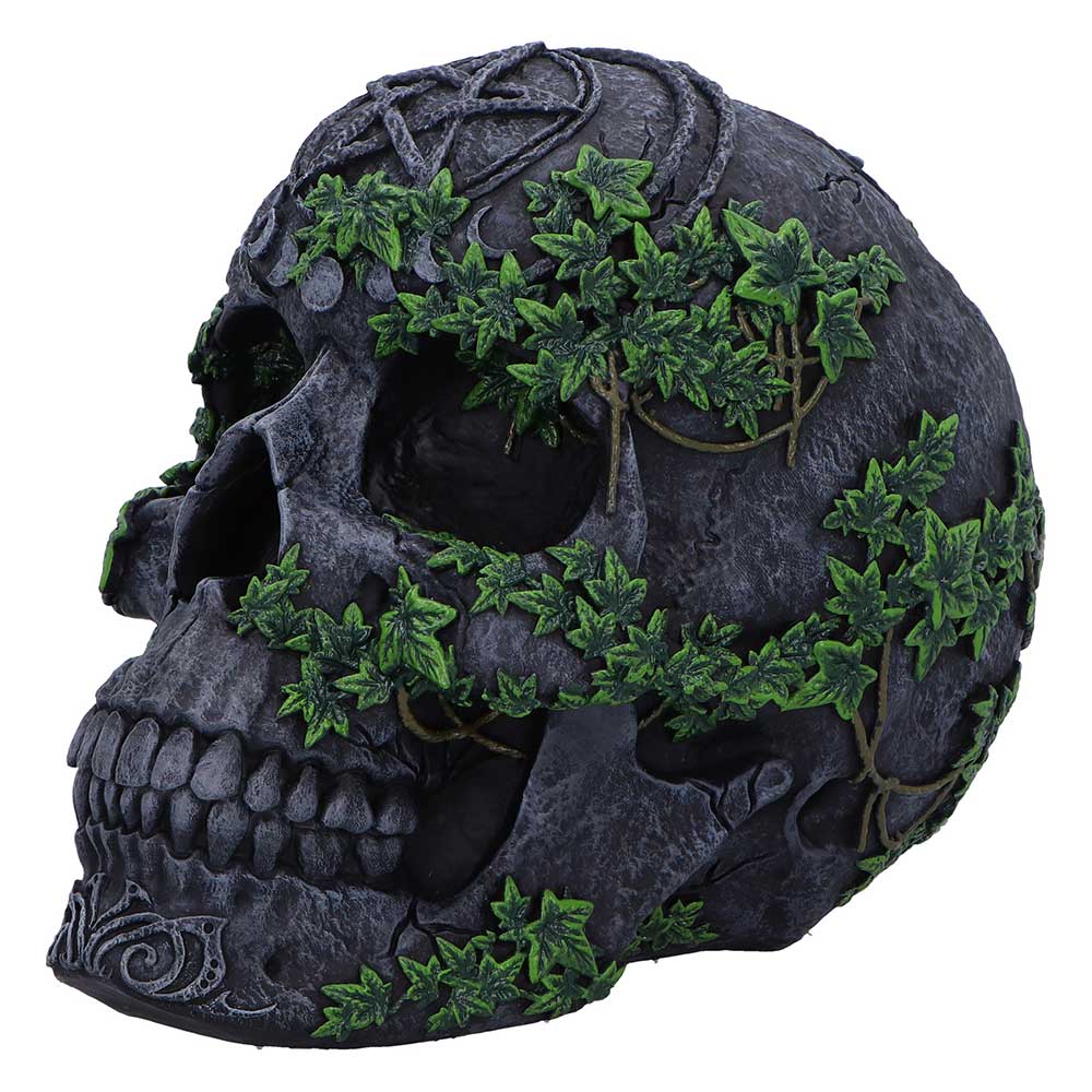 Aged Pentagram Skull