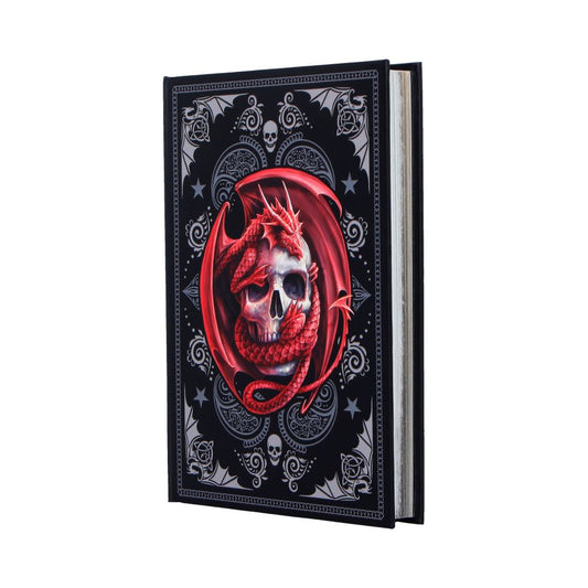 Skull Embrace Journal (AS) 17cm
