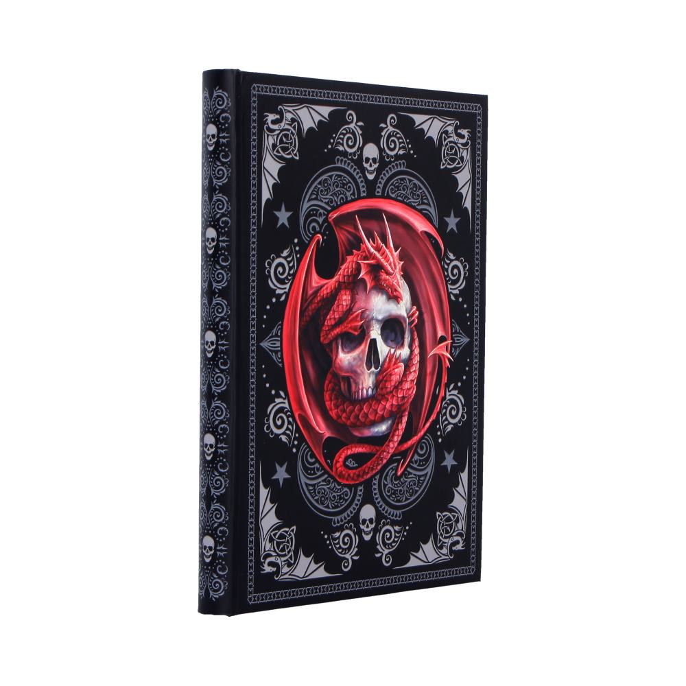 Skull Embrace Journal (AS) 17cm