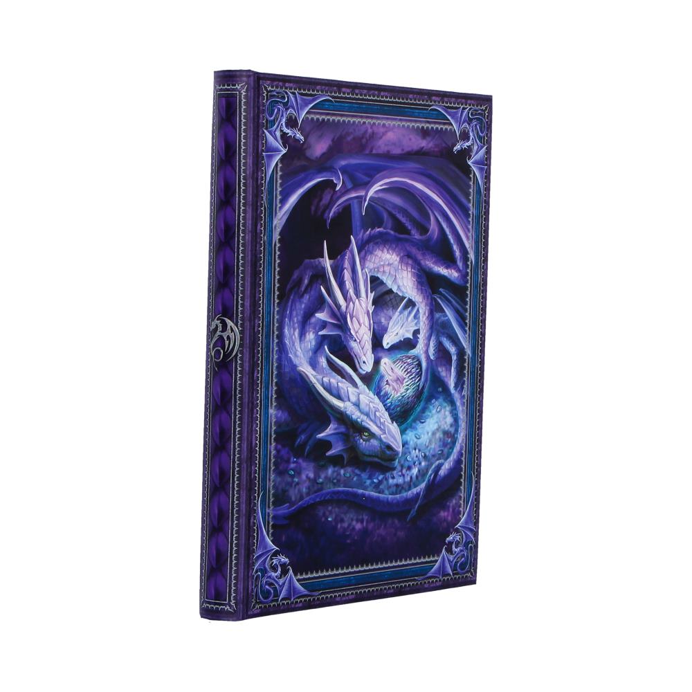 Welcome Hatchling Journal (AS) 17cm