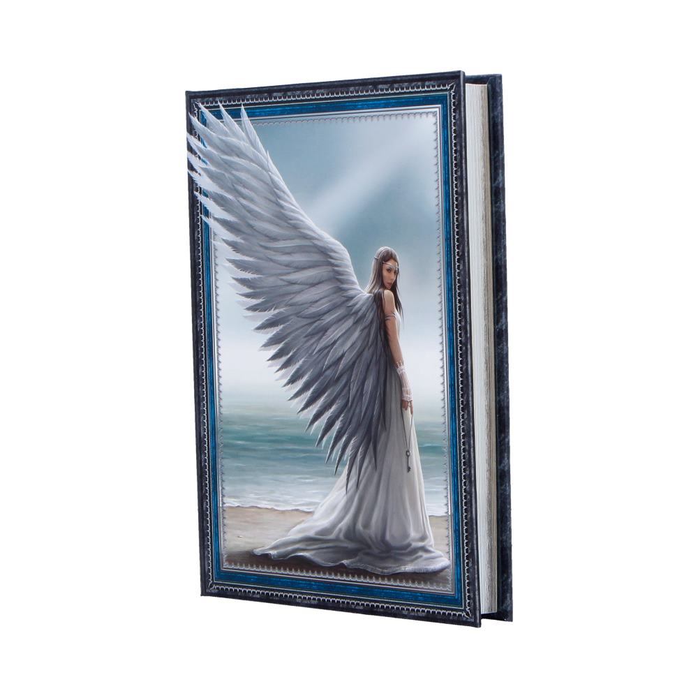 Spirit Guide Journal (AS) 17cm