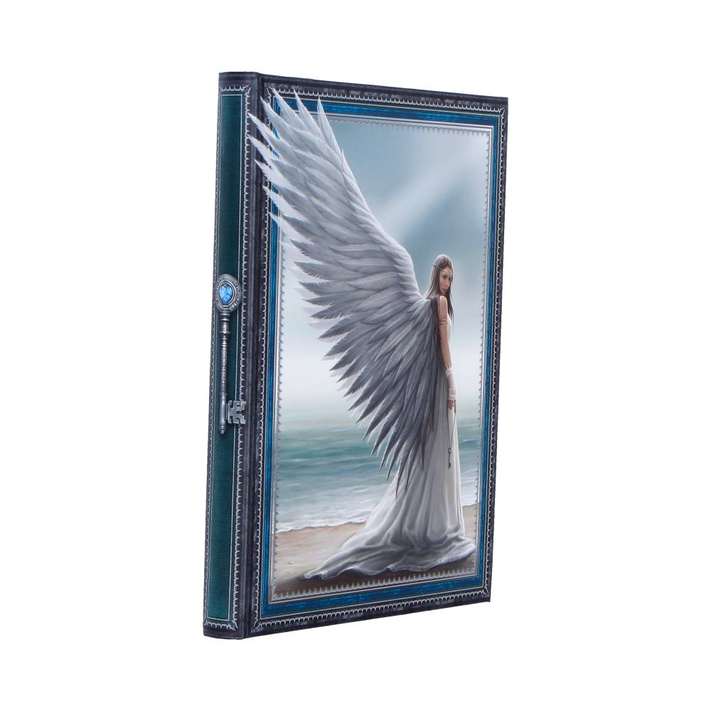 Spirit Guide Journal (AS) 17cm