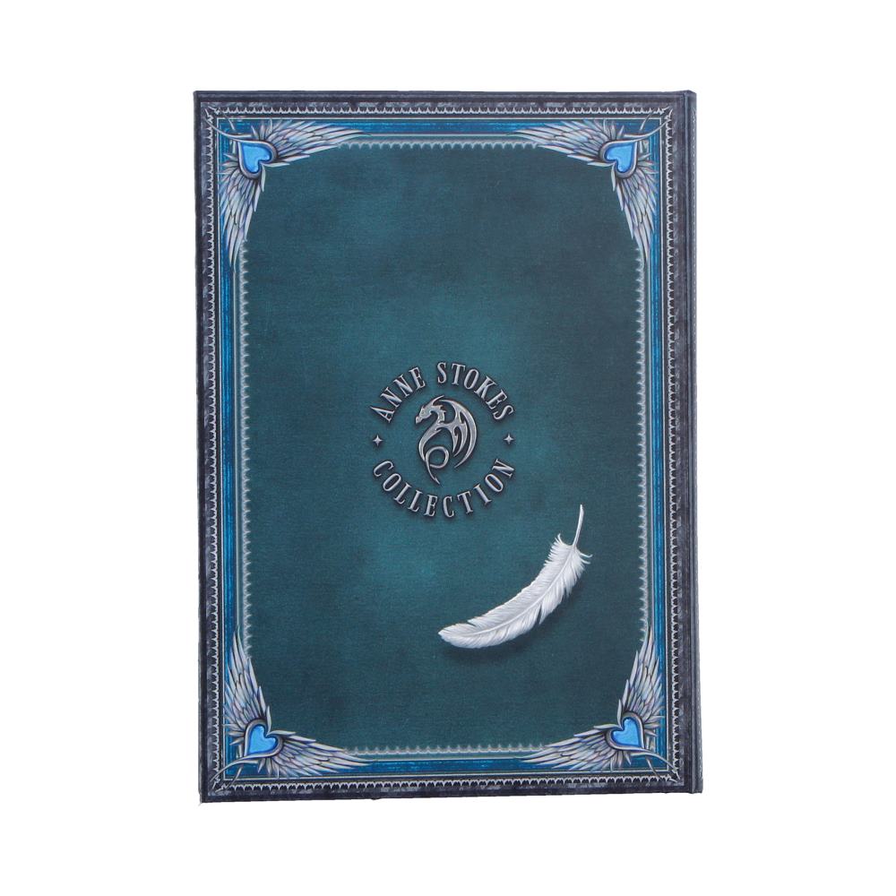 Spirit Guide Journal (AS) 17cm