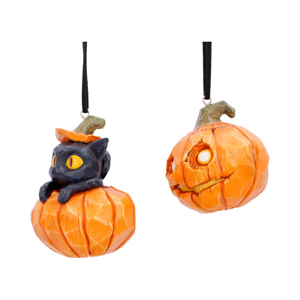 Pumpkin and Patch Hanging Ornaments (Set of 2)