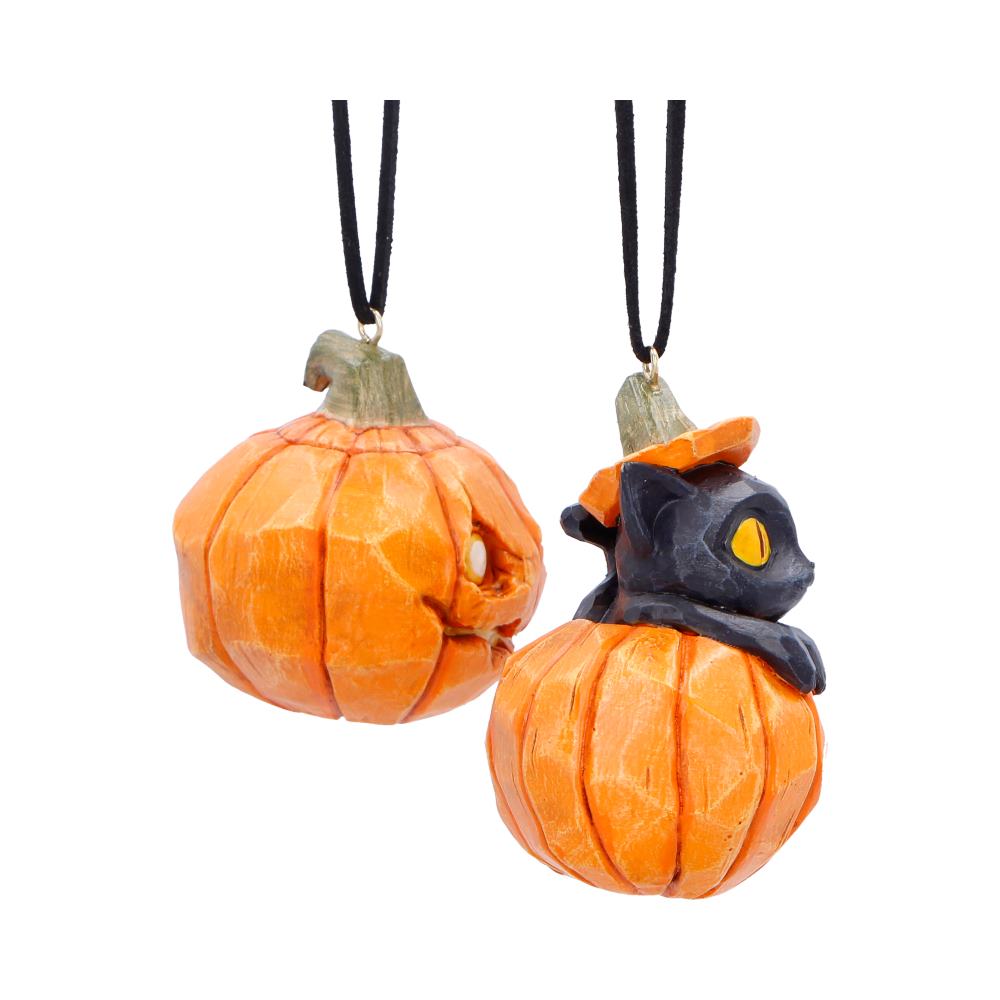 Pumpkin and Patch Hanging Ornaments (Set of 2)
