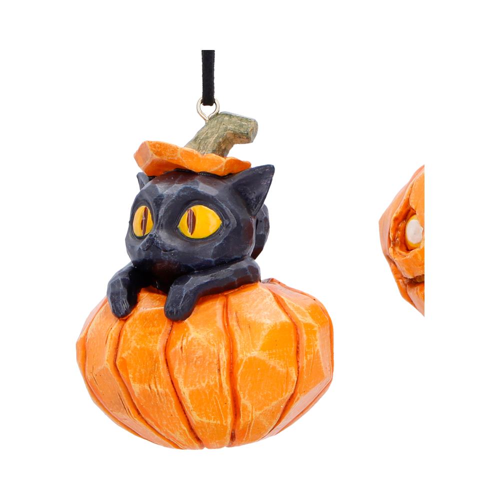 Pumpkin and Patch Hanging Ornaments (Set of 2)
