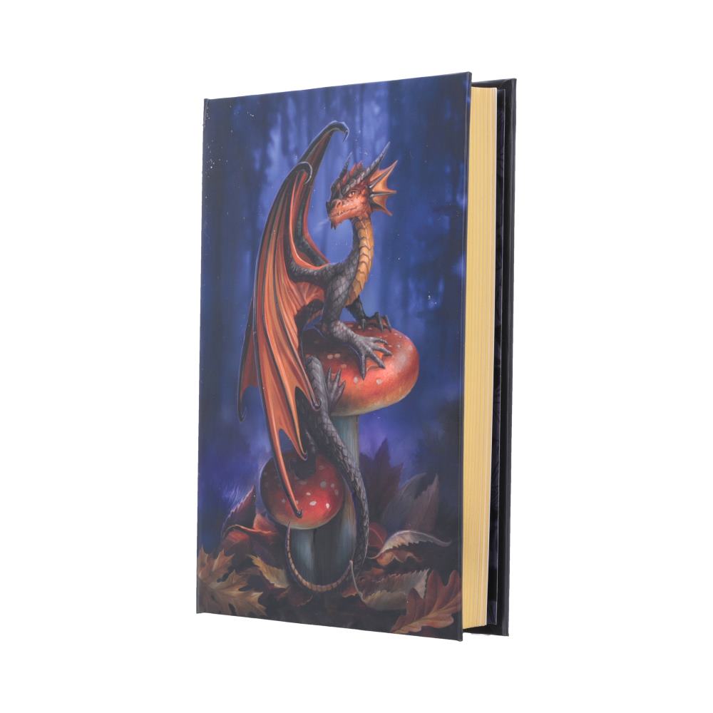 Mushroom Dragon Journal (AS) 18cm