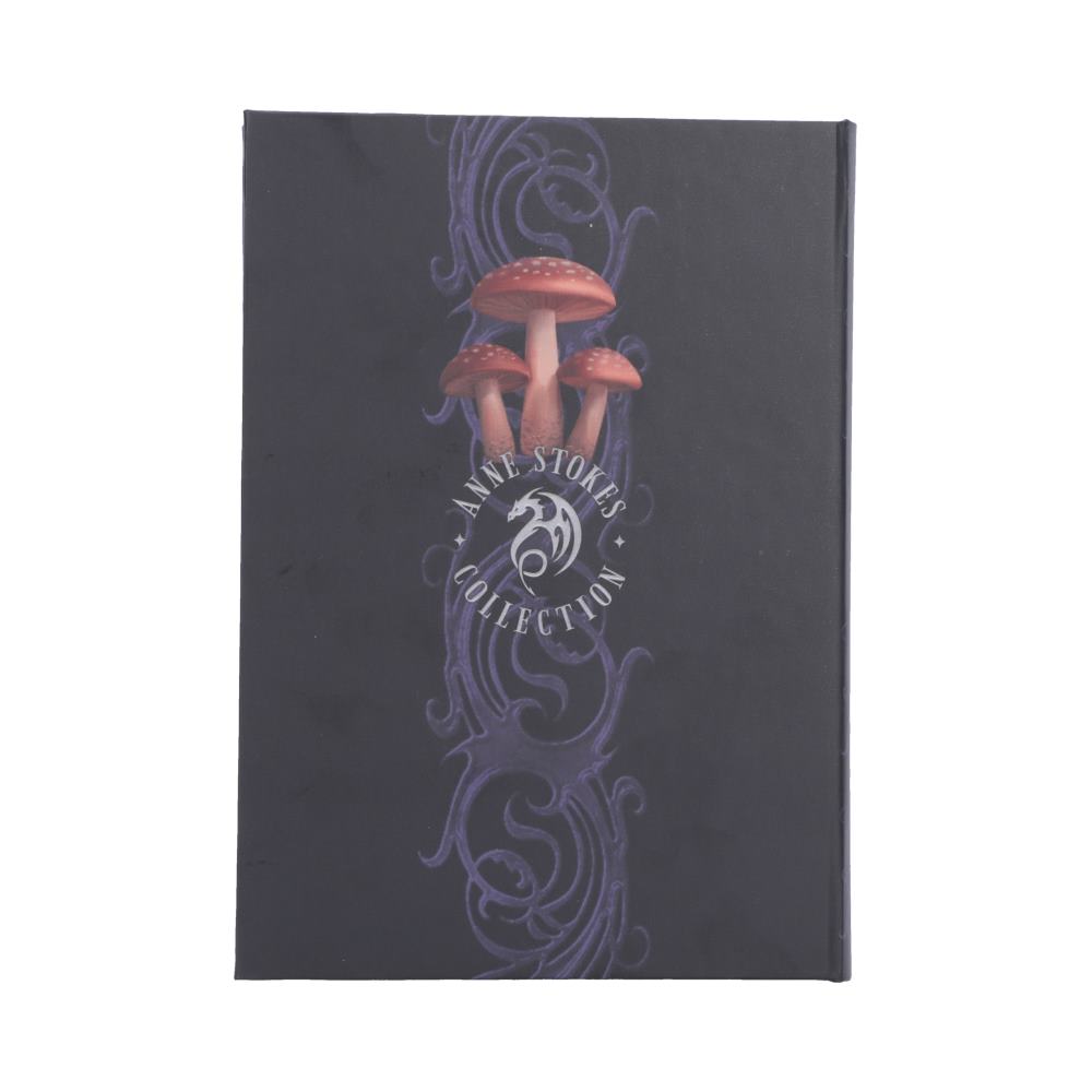 Mushroom Dragon Journal (AS) 18cm