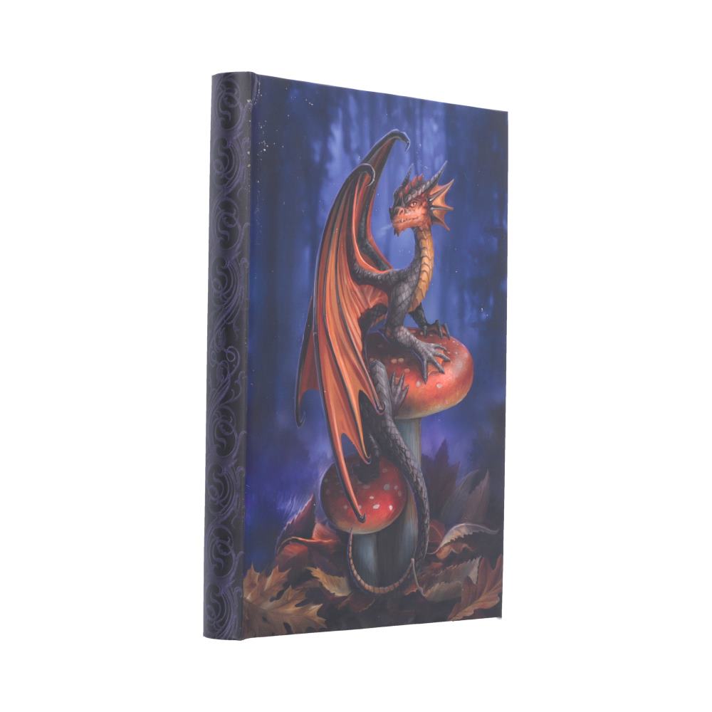 Mushroom Dragon Journal (AS) 18cm
