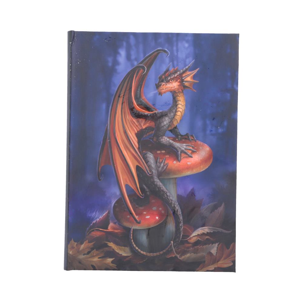 Mushroom Dragon Journal (AS) 18cm
