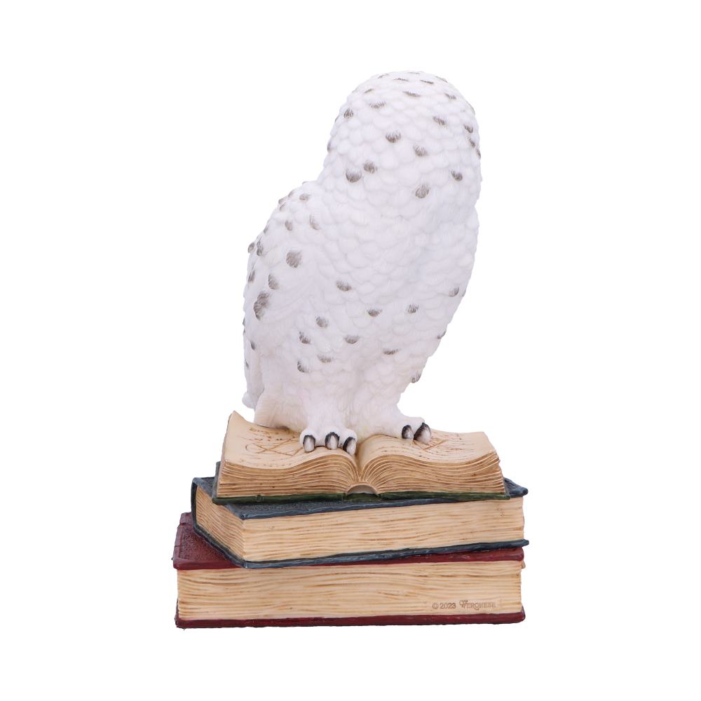 Library of Wisdom 17cm