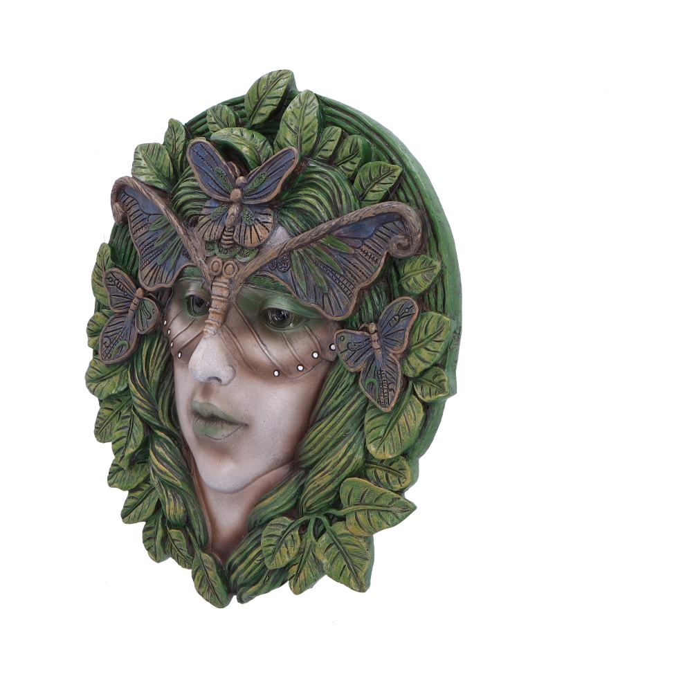 Fern 20cm Fern Tree Spirit Wall Plaque