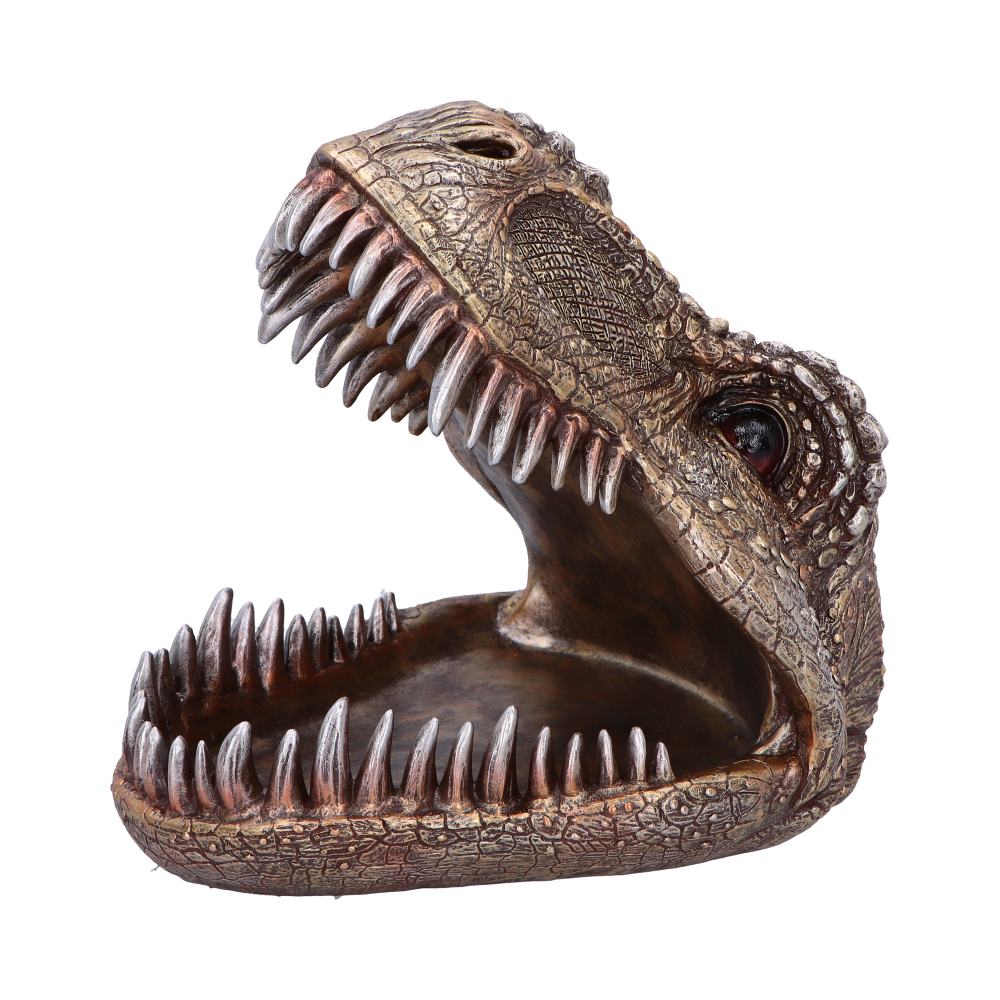Tyrannosaurus Rex Dish 24cm