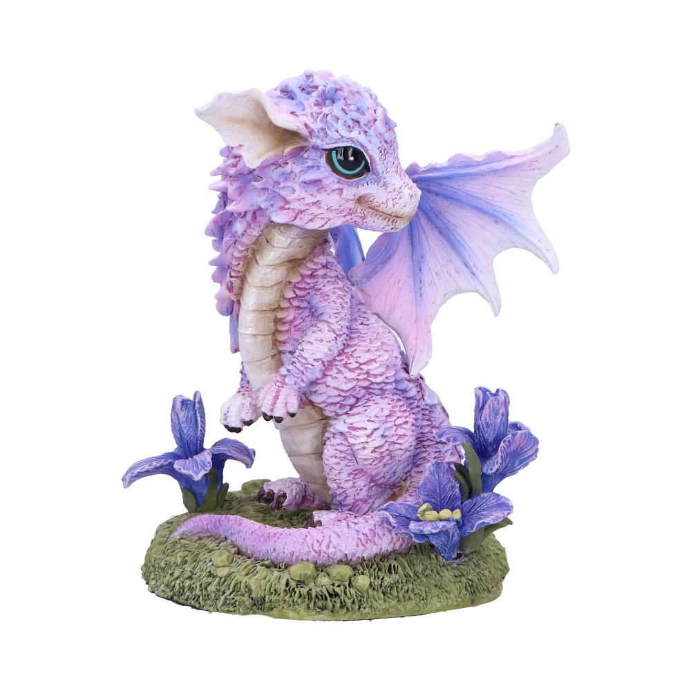 Iris Flower Dragon 12cm