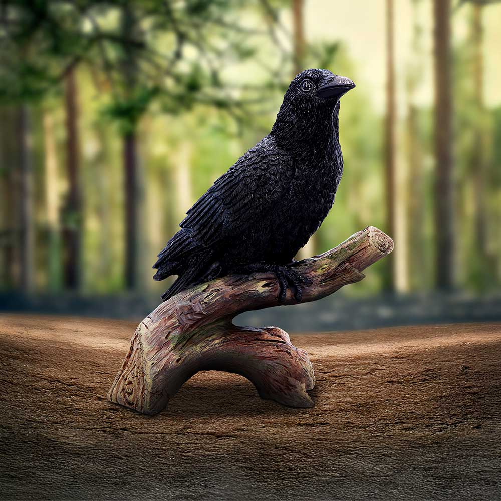 Ravens Perch 20cm
