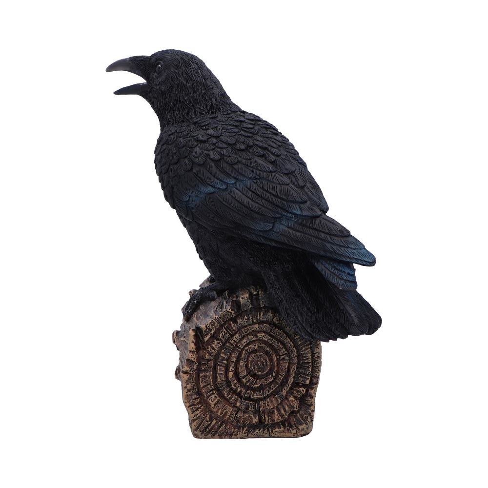 Ravens Cry 18cm
