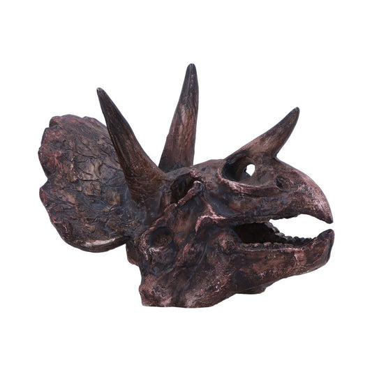 Triceratops Skull 14.5cm