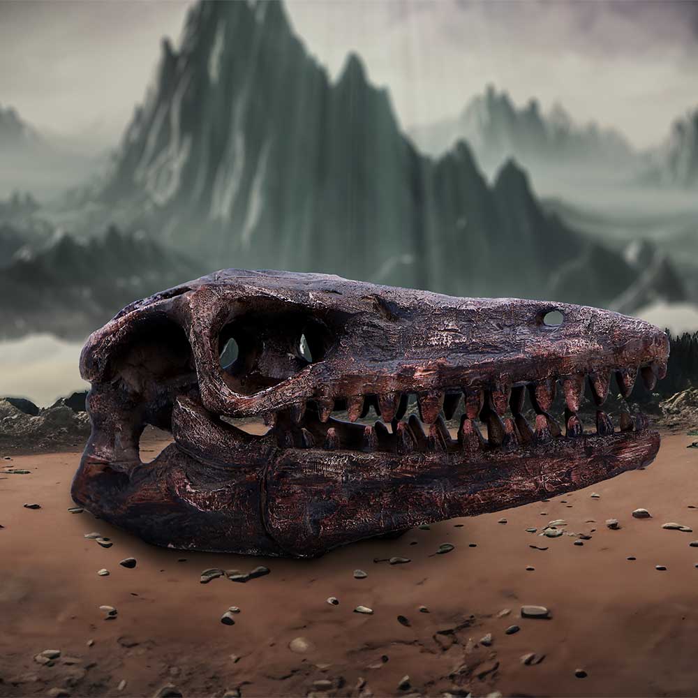 Archaeopteryx Skull 18cm