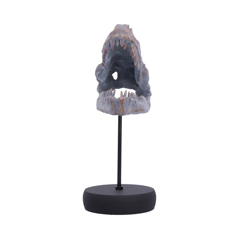 Tyrannosaurus Rex Skull on Plinth