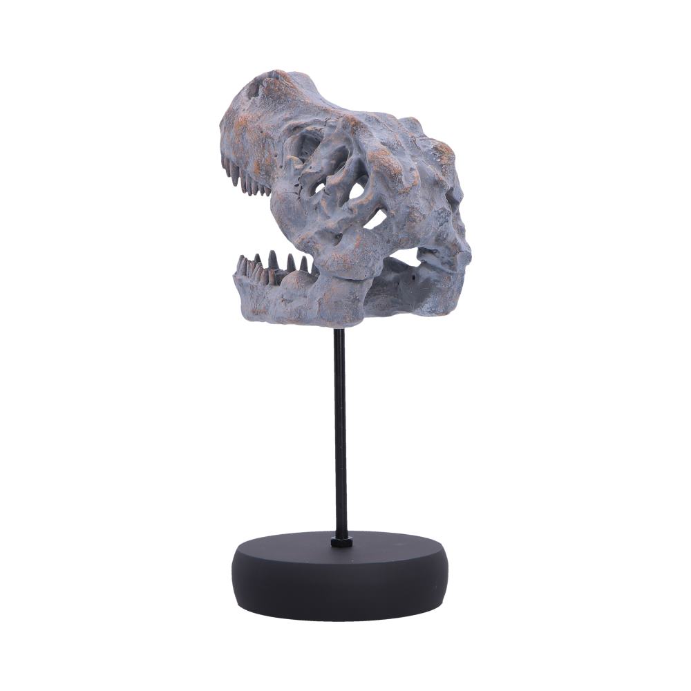 Tyrannosaurus Rex Skull on Plinth