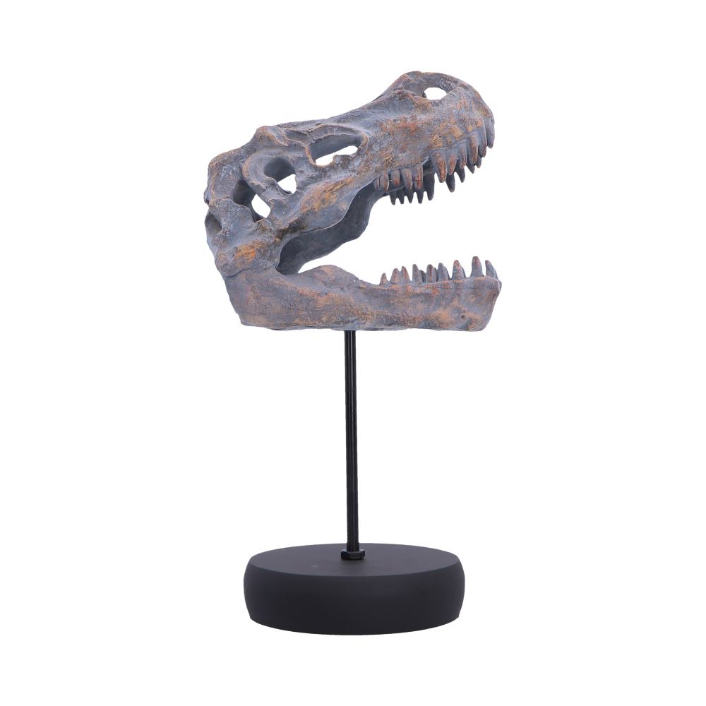 Tyrannosaurus Rex Skull on Plinth