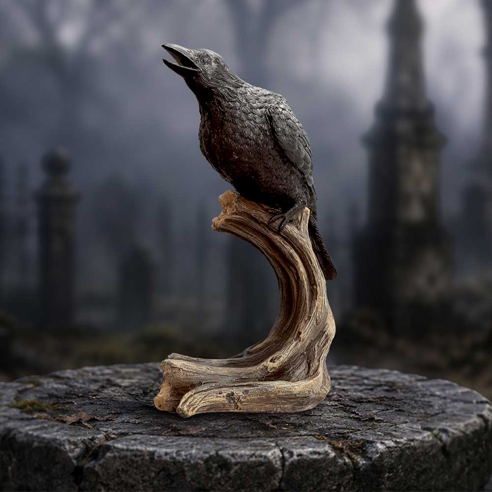 Raven’s Caw 26.8cm