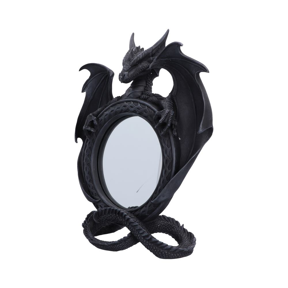 Darkwing Reflection 37.3cm