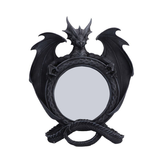 Darkwing Reflection 37.3cm