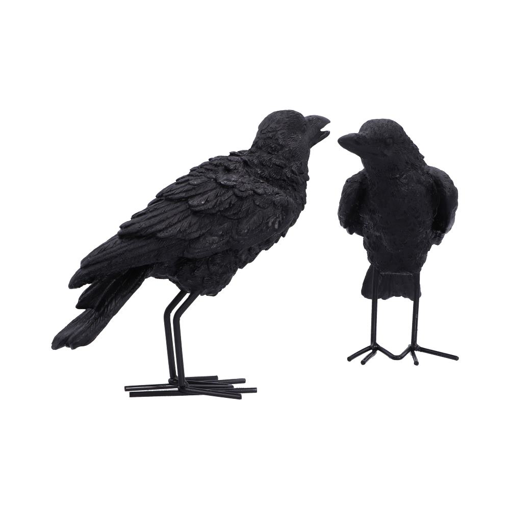 Watchful Pair (Set of 2) 13.9cm
