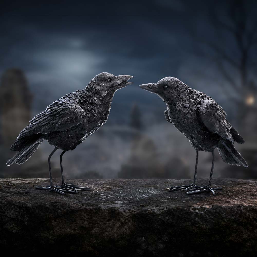 Watchful Pair (Set of 2) 13.9cm
