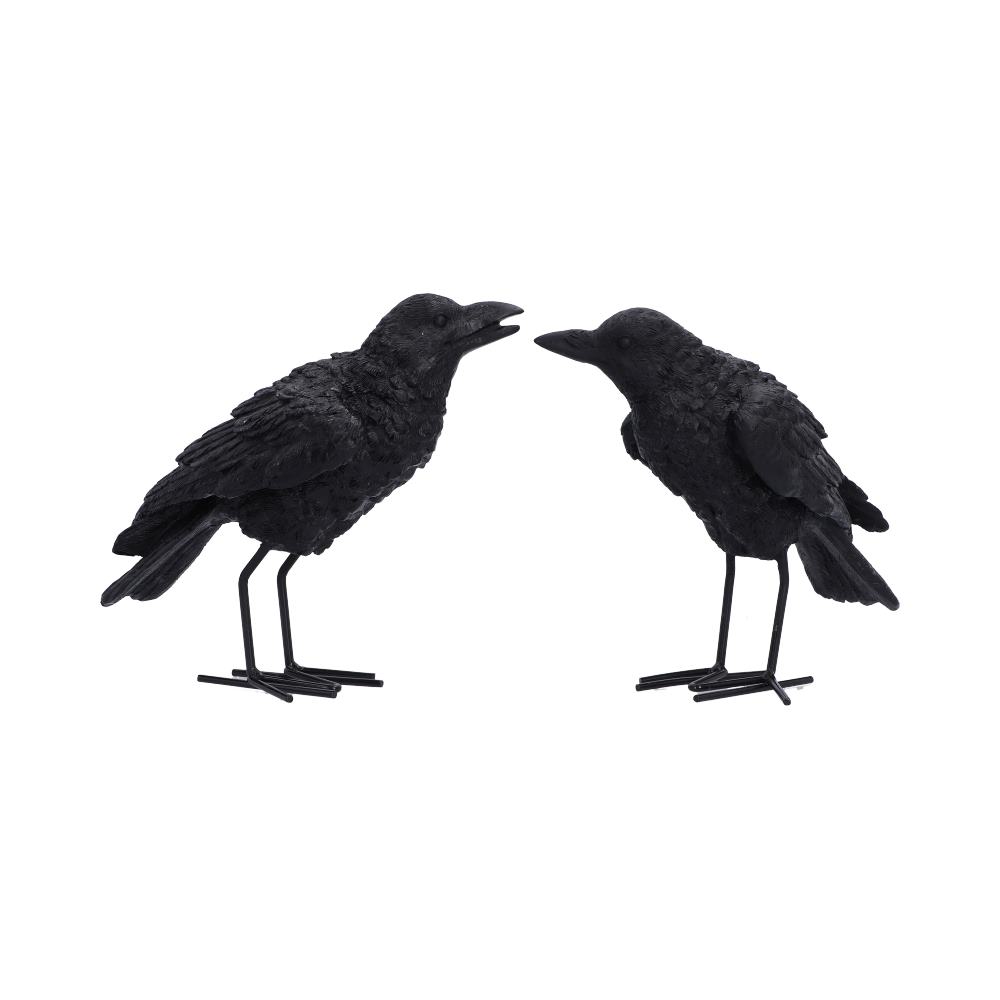 Watchful Pair (Set of 2) 13.9cm