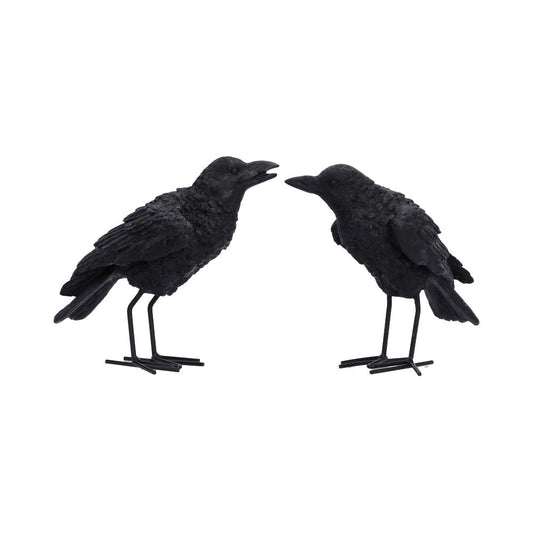 Watchful Pair (Set of 2) 13.9cm
