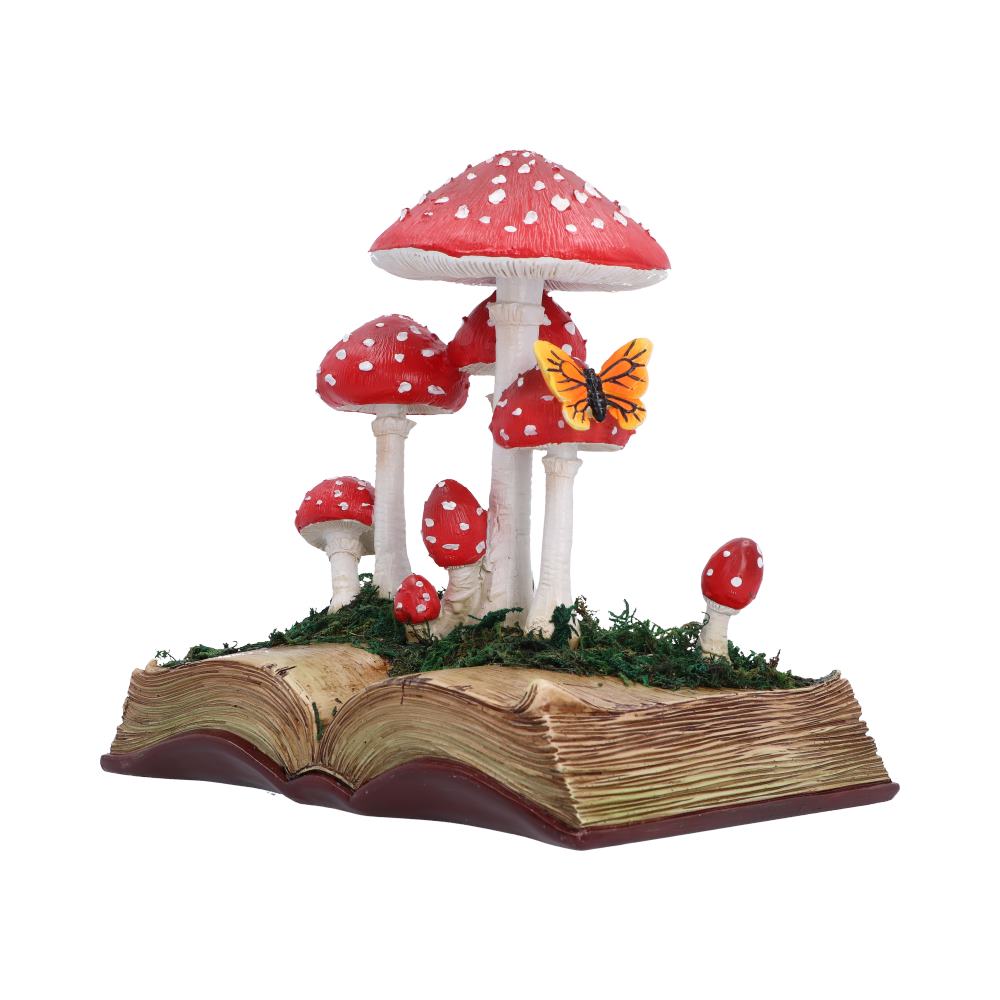 Toadstool Tales 18.6cm