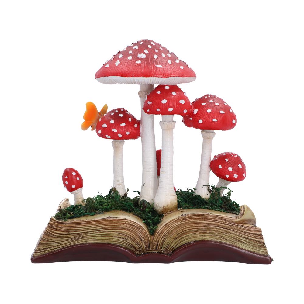 Toadstool Tales 18.6cm
