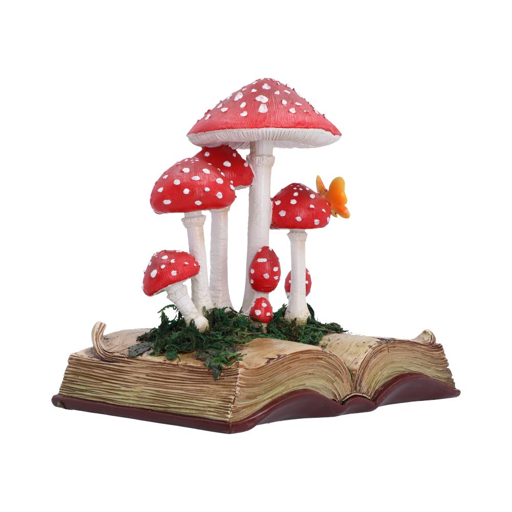 Toadstool Tales 18.6cm