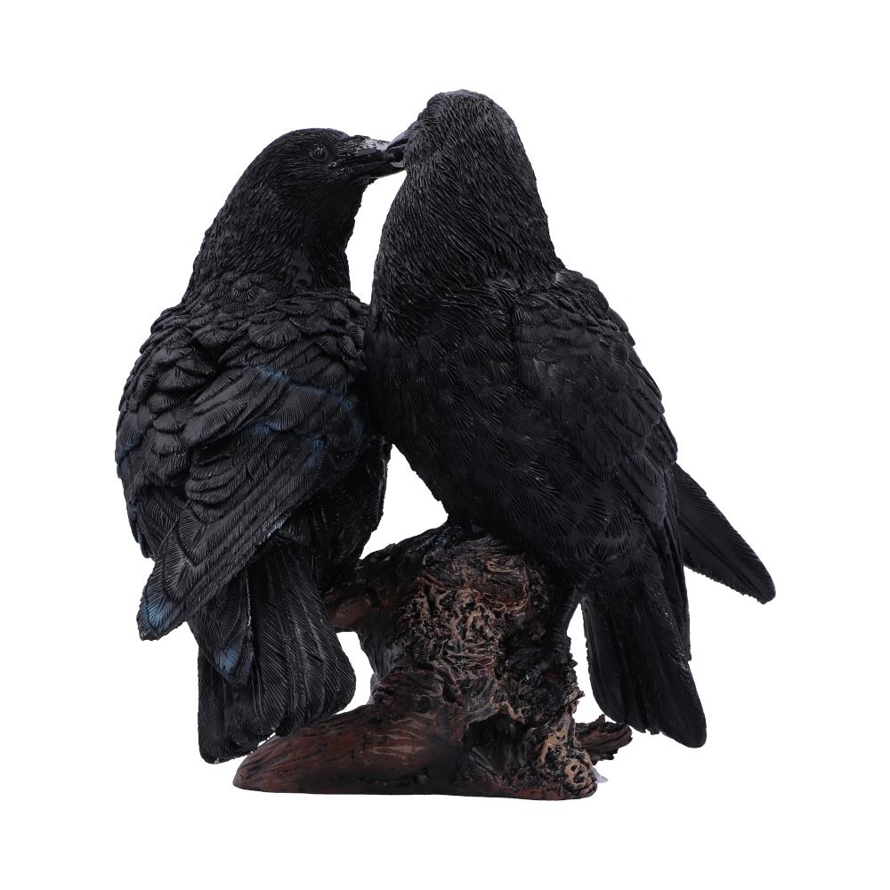 Midnight Kiss 13.9cm