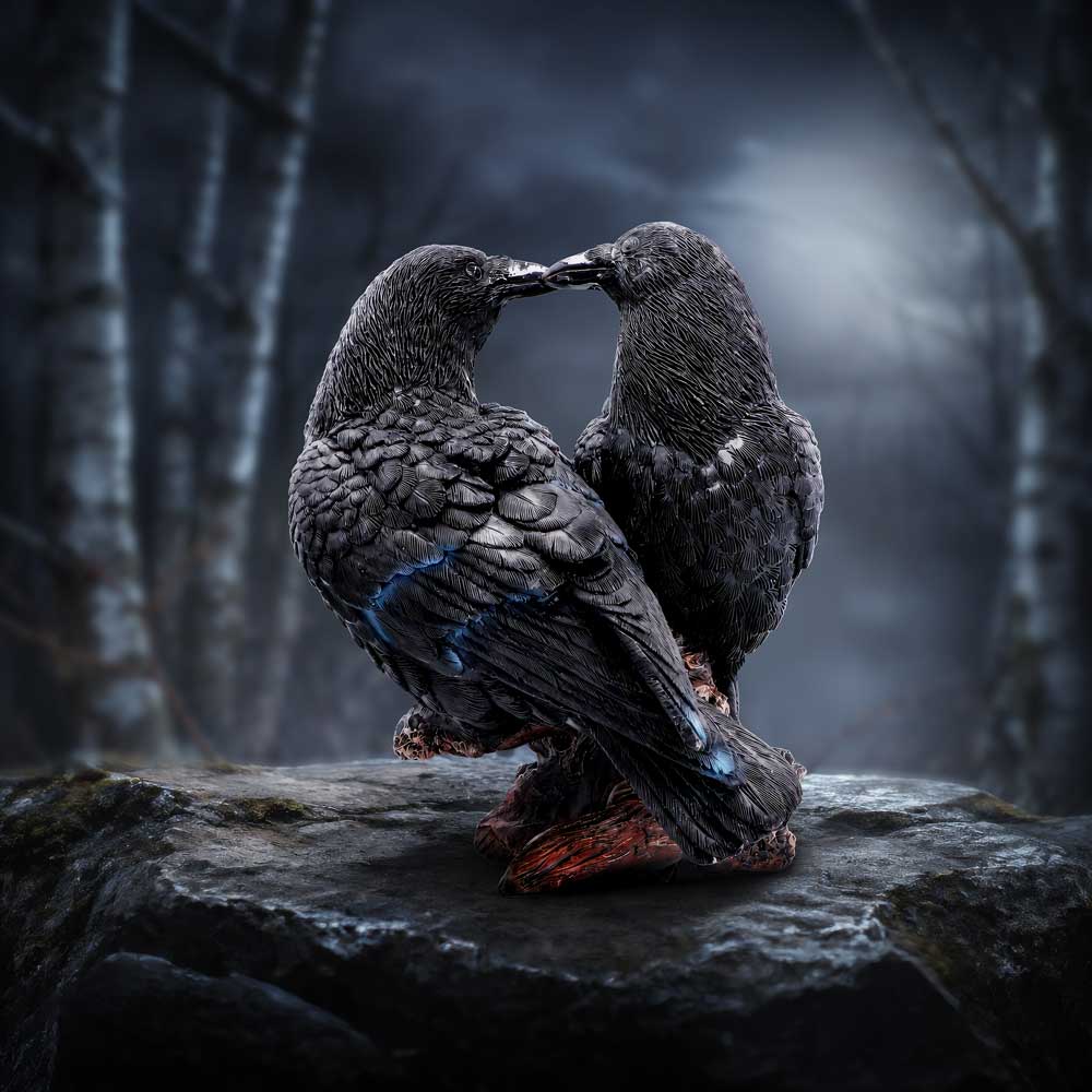 Midnight Kiss 13.9cm