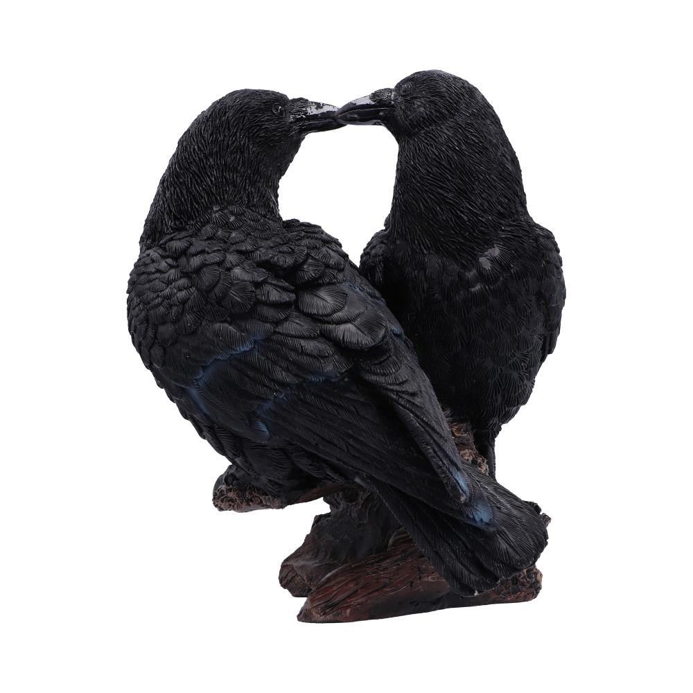 Midnight Kiss 13.9cm