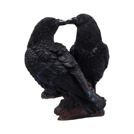 Midnight Kiss 13.9cm