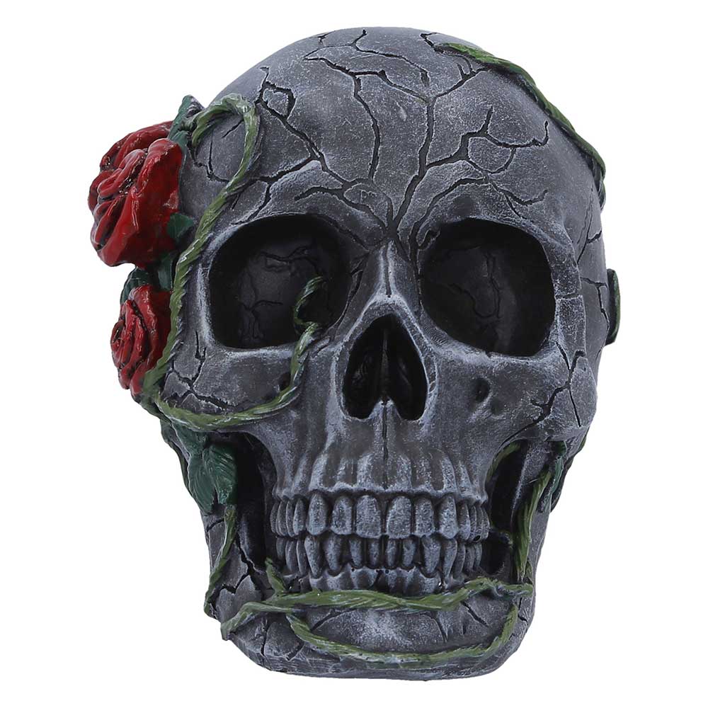 Twilight Bloom 15.6cm