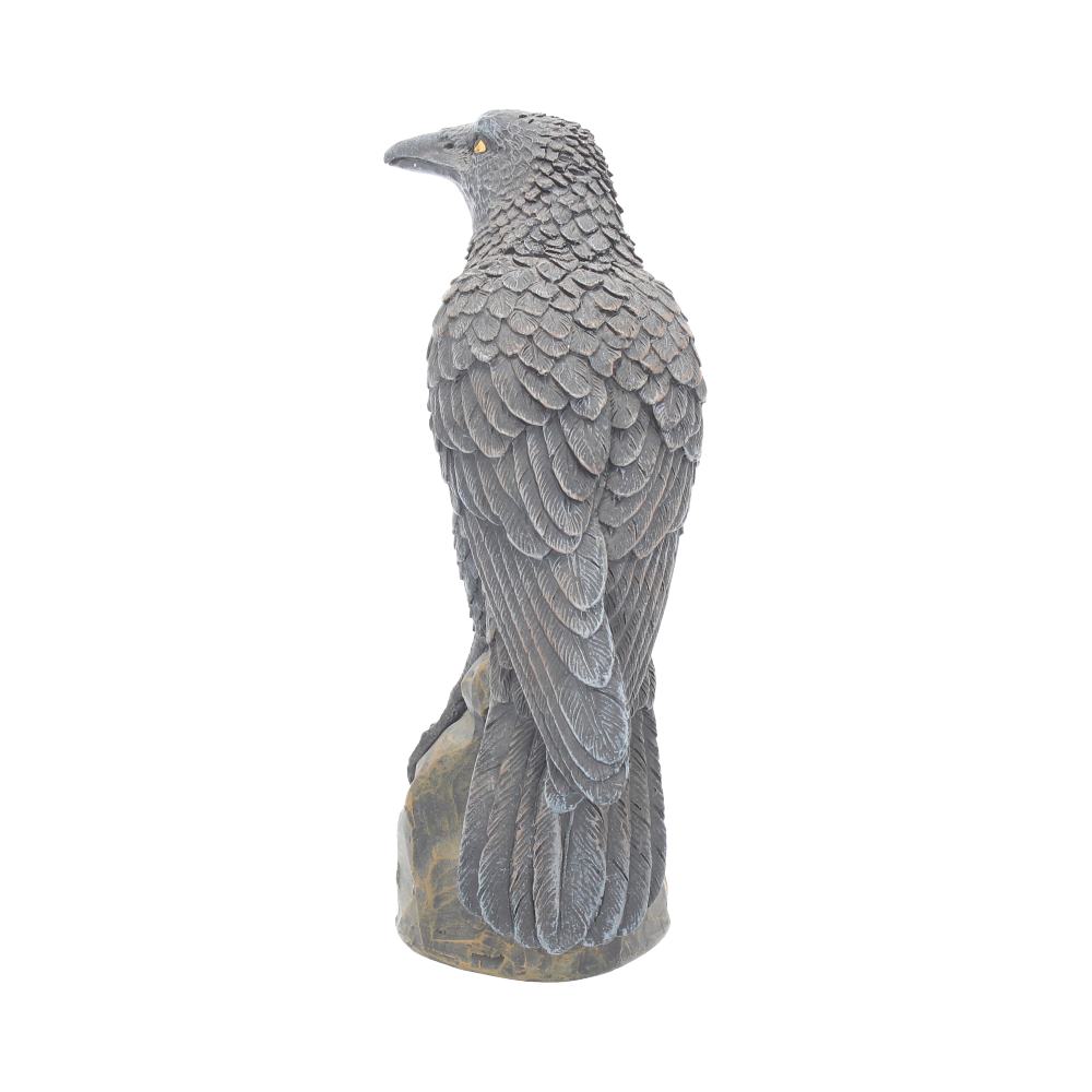 Ravens Rest 16cm