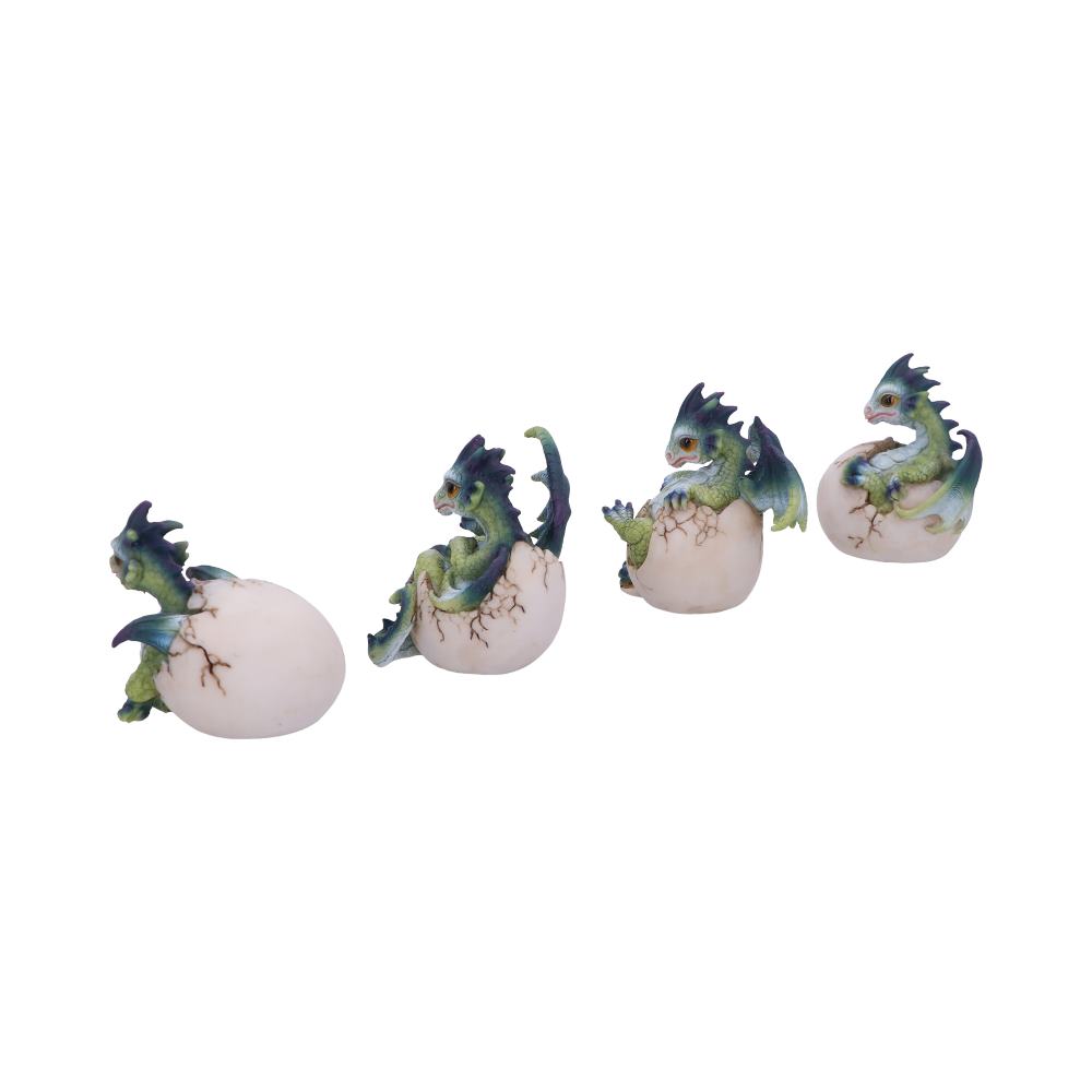 Hatchlings Emergence (Set of 4) 8cm