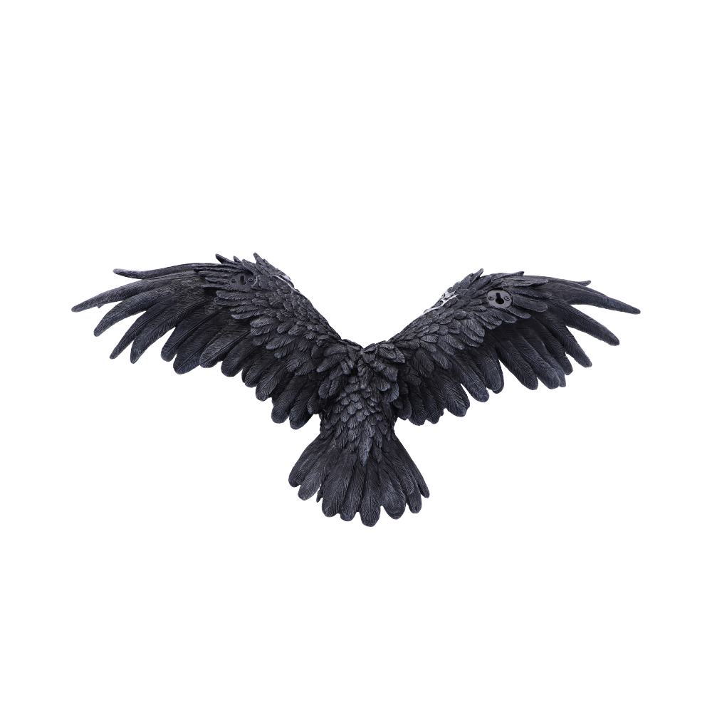 Dark Feather 55cm